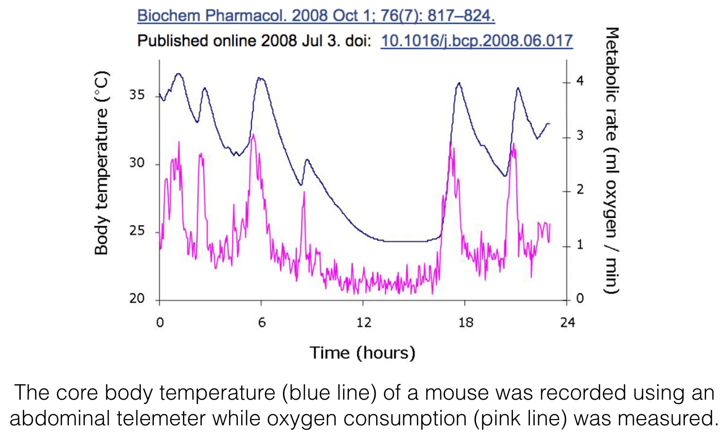 Metabolism Temperature