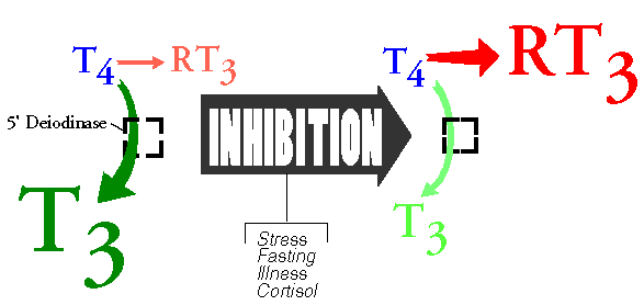 10Inhibition