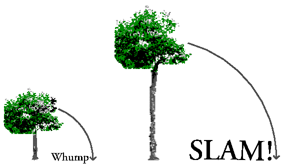 111Trees