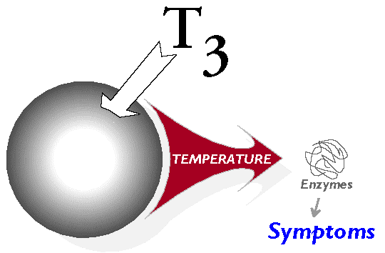 12_5TempSxs