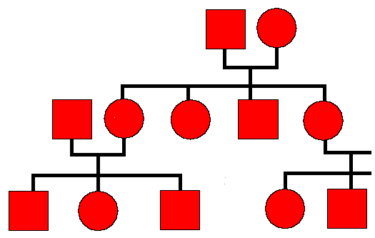 3Pedigree