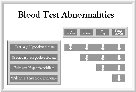 45Tests