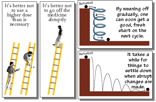 72Ladder