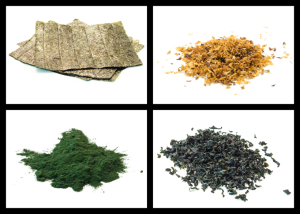 Seaweed